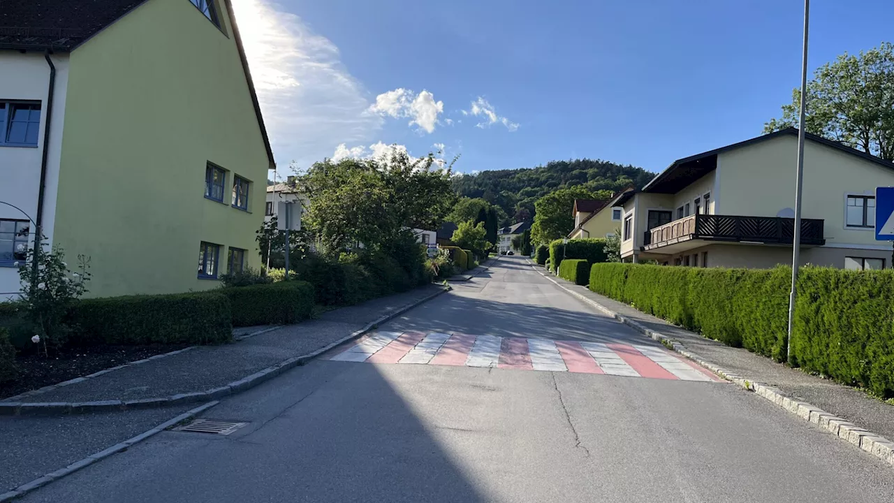 Volksschule Artstetten: „Verlassen, dass Autofahrer kein Narr ist“