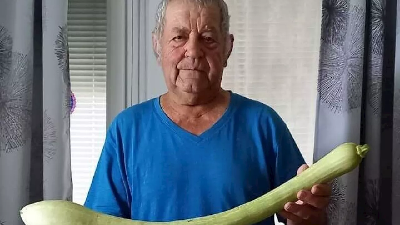 Weinviertler mit 70 Zentimeter langer Zucchini aus dem eigenen Garten