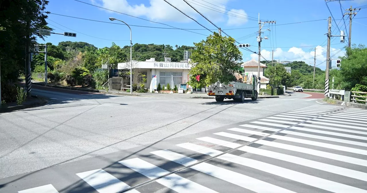 ジャングリアと「共生」の道探る村 渋滞、雇用…渦巻く期待と不安 今帰仁村長選11日投開票 沖縄