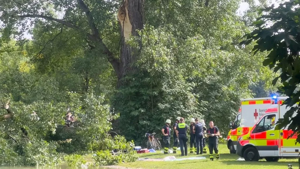 Riesenschreck: Abbrechender Ast verletzt Frau im Englischen Garten schwer