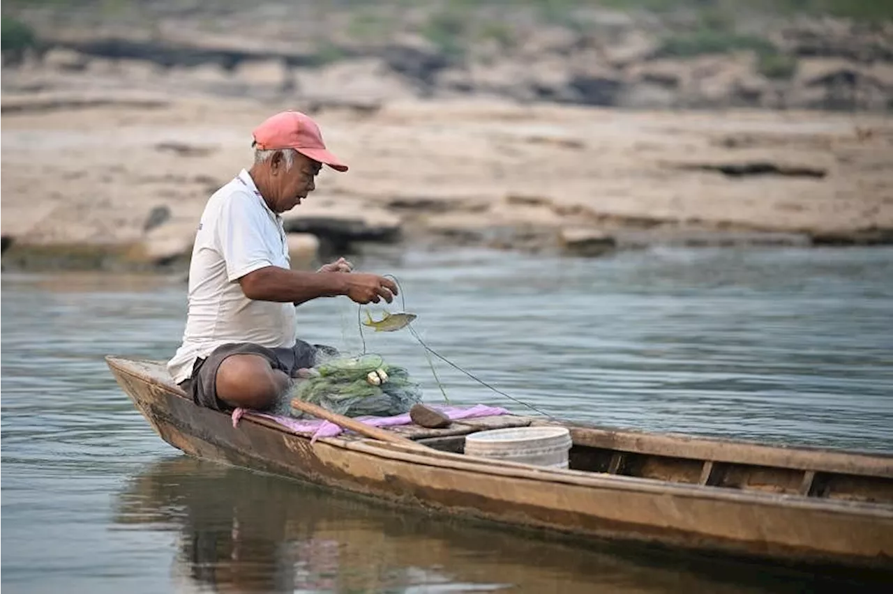 Eco-systems and local communities impacted as Mekong undergoes a sea of change