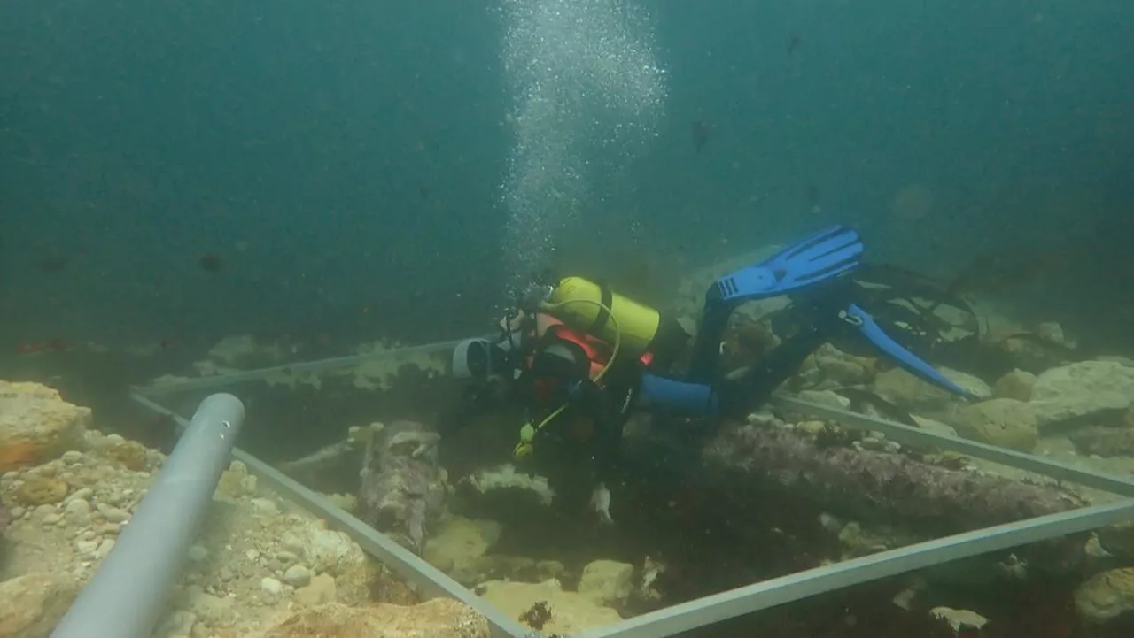 Île de Ré : à l’issue du dernier chantier de fouilles, l’épave mystère continue de dévoiler ses secrets