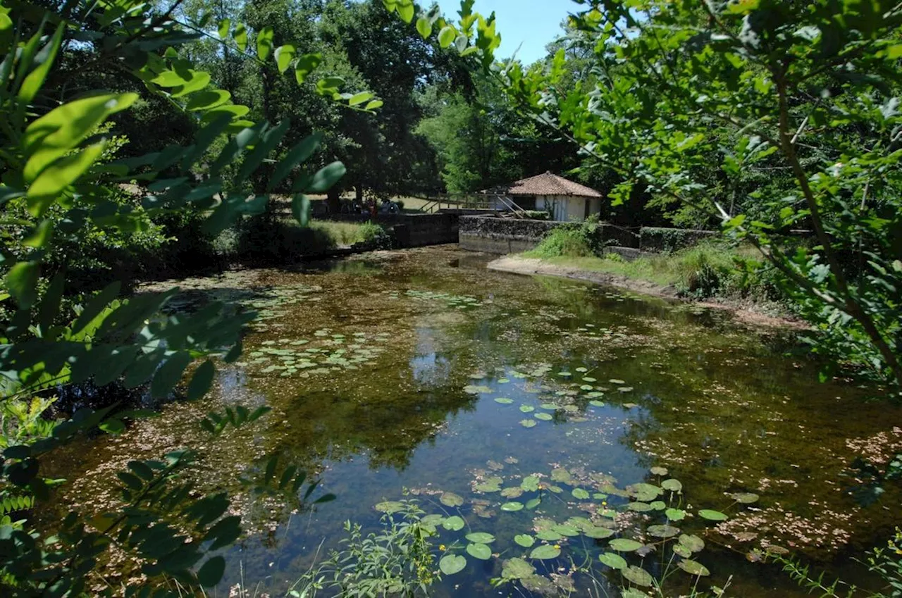 Le parc naturel régional des Landes de Gascogne : une merveille de la Nouvelle-Aquitaine à (re) découvrir en images