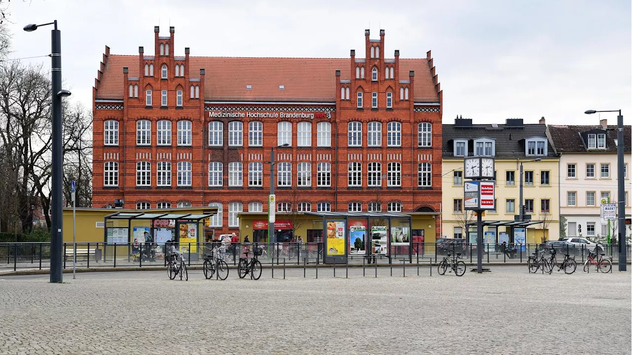 Junge Ärzte für die Mark: Medizinische Hochschule Brandenburg zieht positive Zwischenbilanz