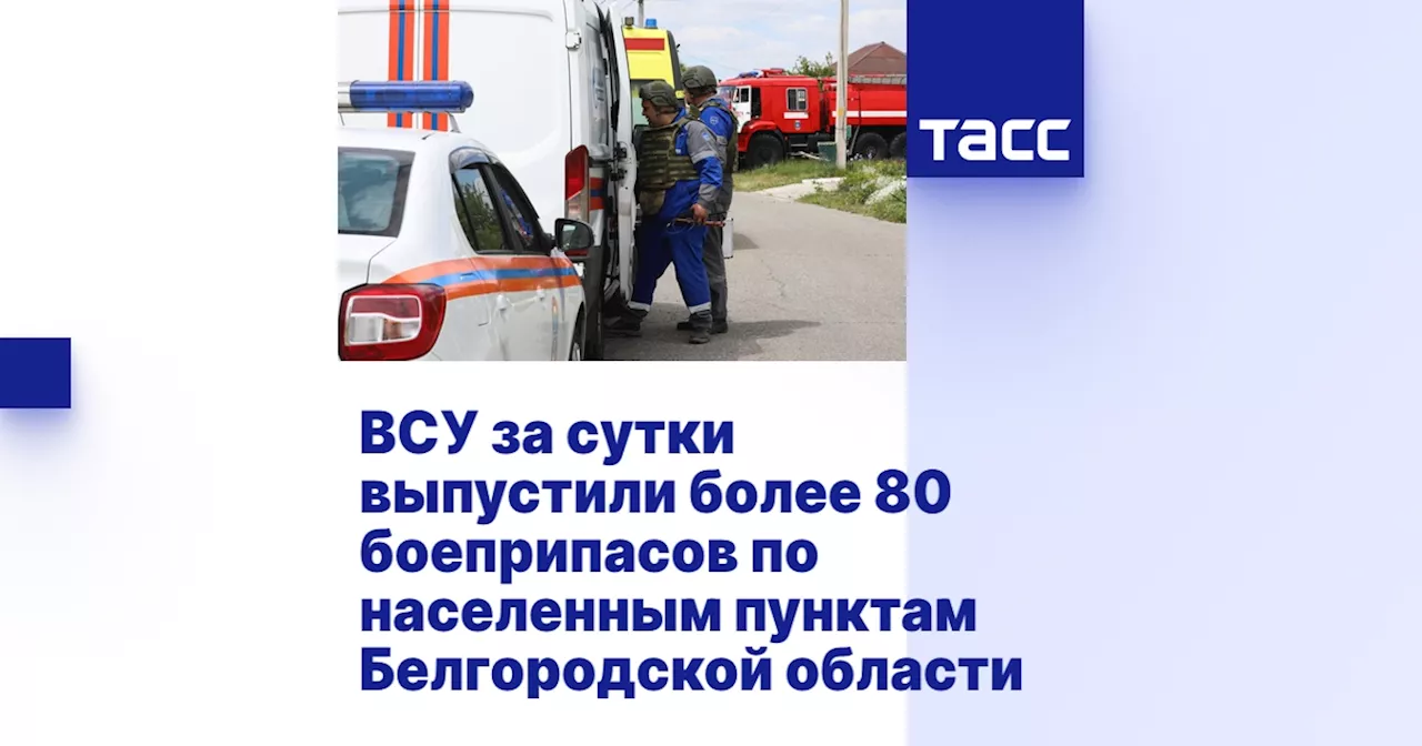 ВСУ за сутки выпустили более 80 боеприпасов по населенным пунктам Белгородской области