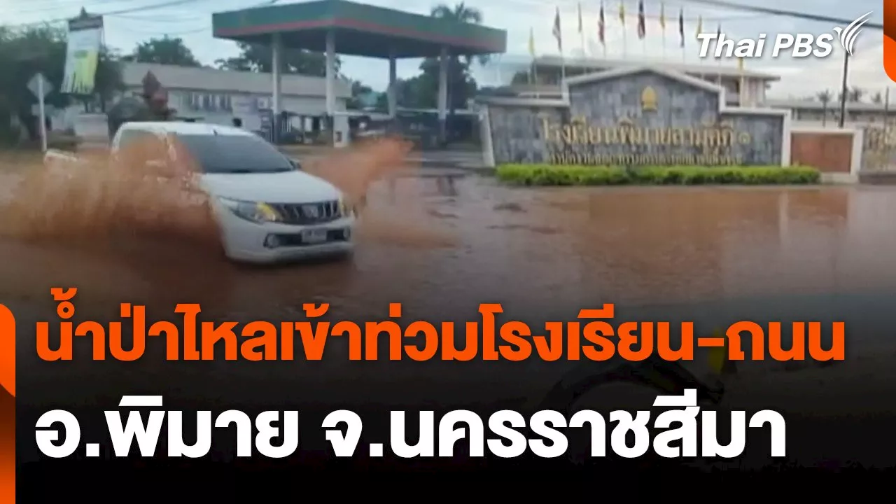 น้ำป่าไหลเข้าท่วมโรงเรียน-ถนน อ.พิมาย จ.นครราชสีมา | Thai PBS รายการไทยพีบีเอส