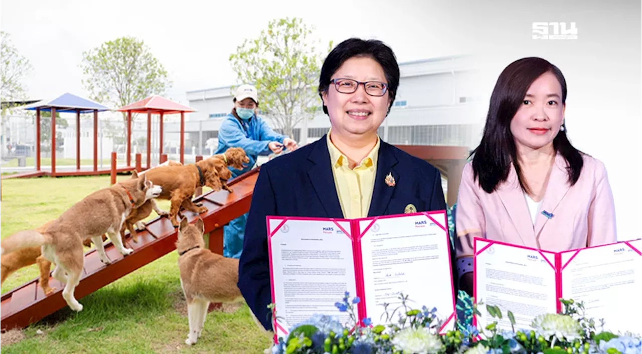 'Pet Humanization'โตแรง มาร์สจับมือจุฬา วิจัยอาหารสัตว์เลี้ยงในเอเชีย