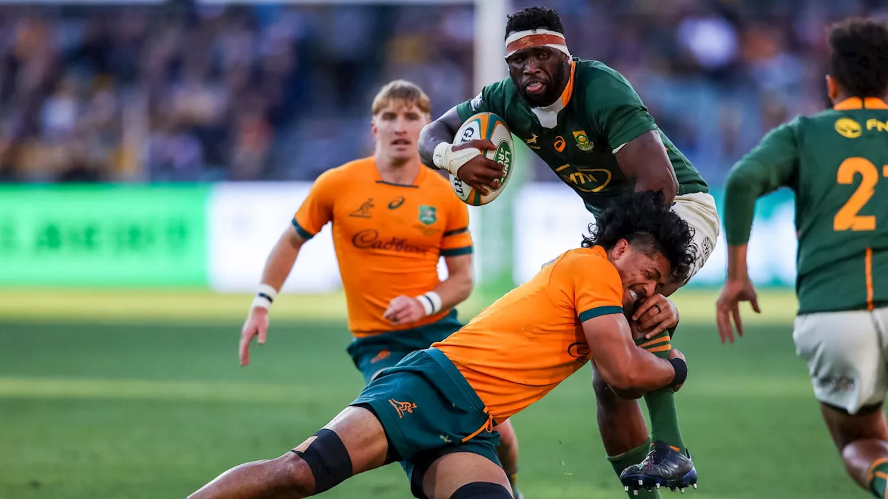 Wallabies coach suggests Springboks are ‘lucky’