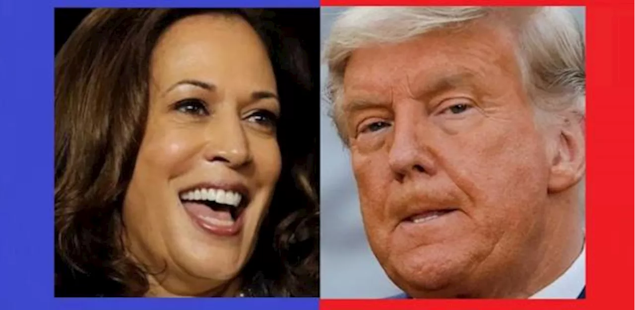 Agregador de pesquisas eleitorais dos EUA prevê Kamala à frente de Trump