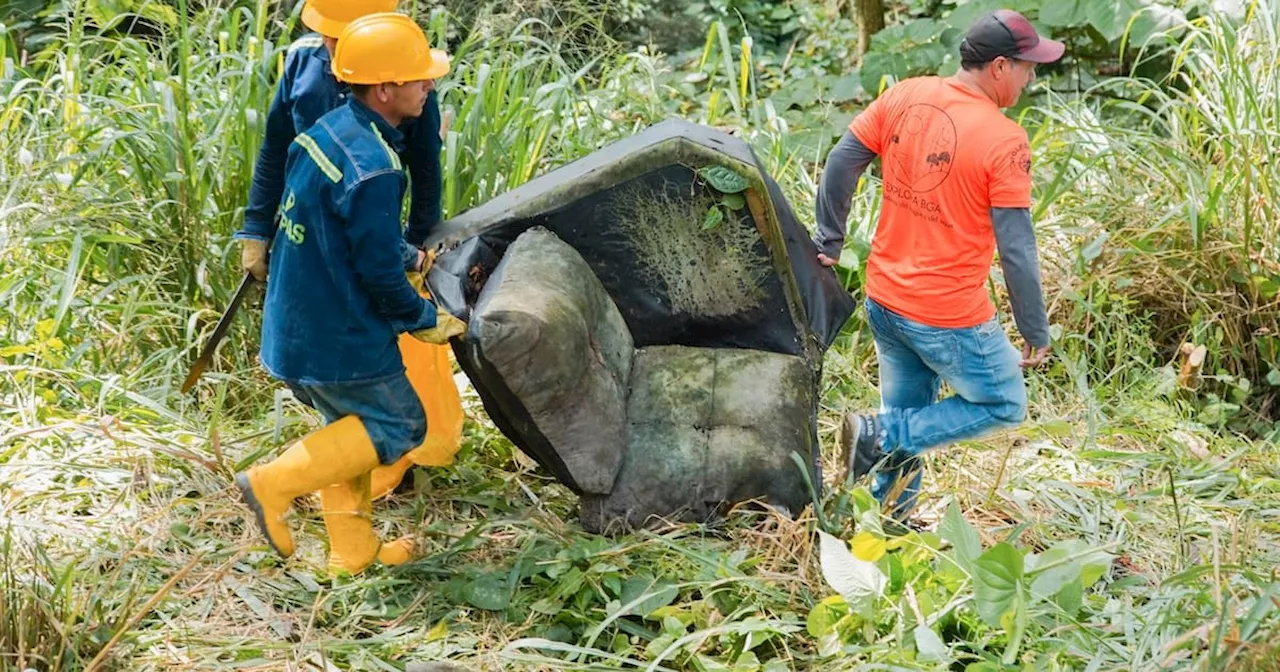 Así fue la tercera jornada ambiental de Bucaramanga, esta vez se realizó en Cabecera