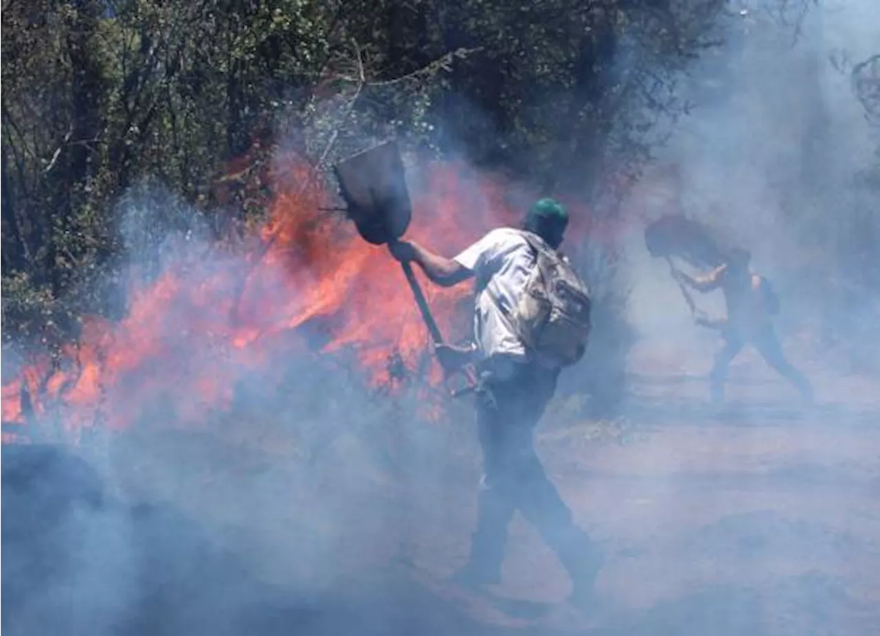 Imponen otro récord incendios forestales