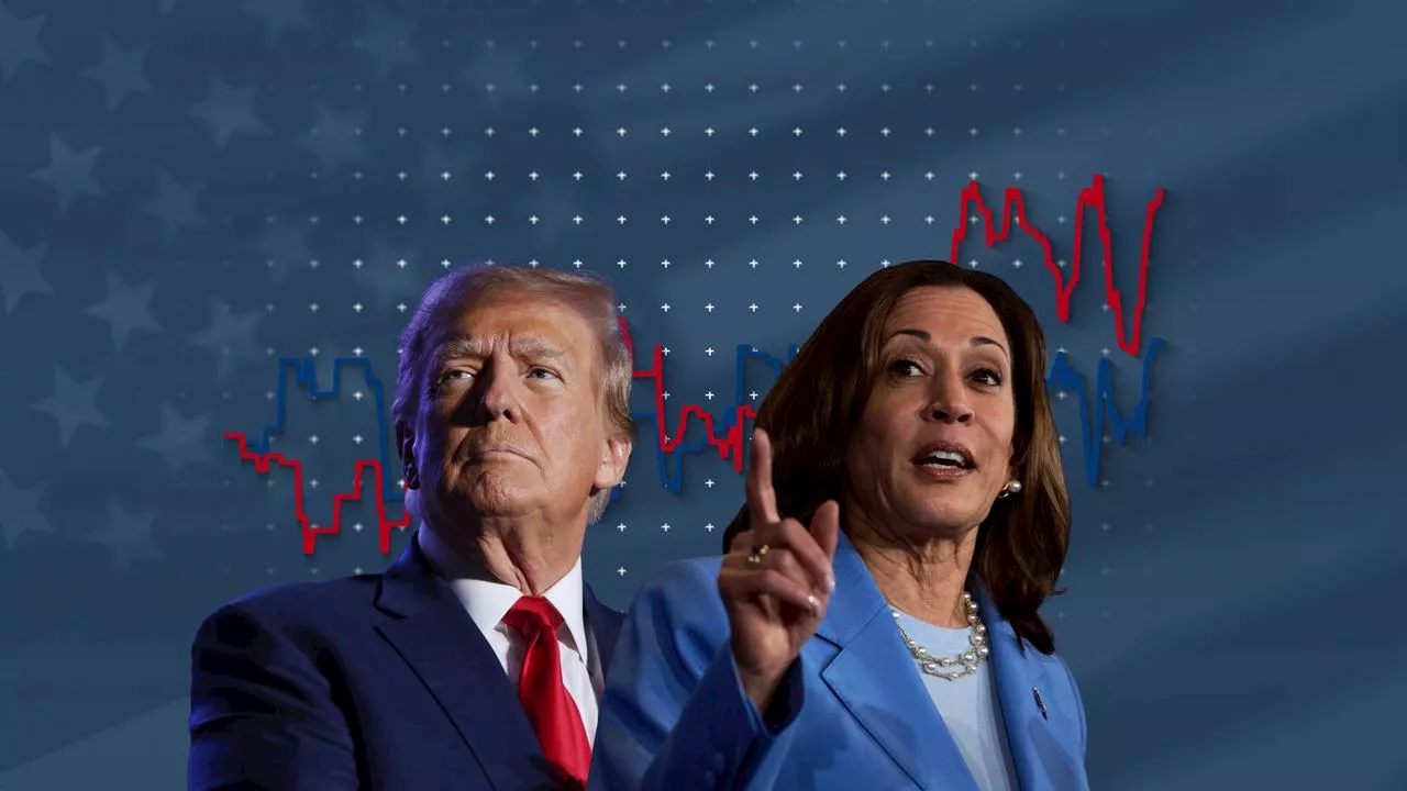 US-Wahl 2024: Trump vs. Harris - Wer liegt in Umfragen vorn?