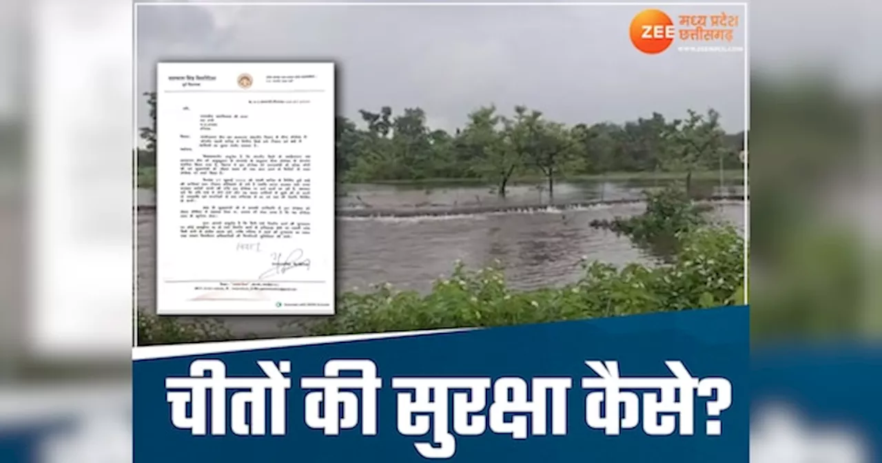 सवालों के घेरे में एमपी चीता प्रोजेक्ट! ढही 5 महीने पहले बनी दीवार, पूर्व BJP विधायक ने की ये मांग