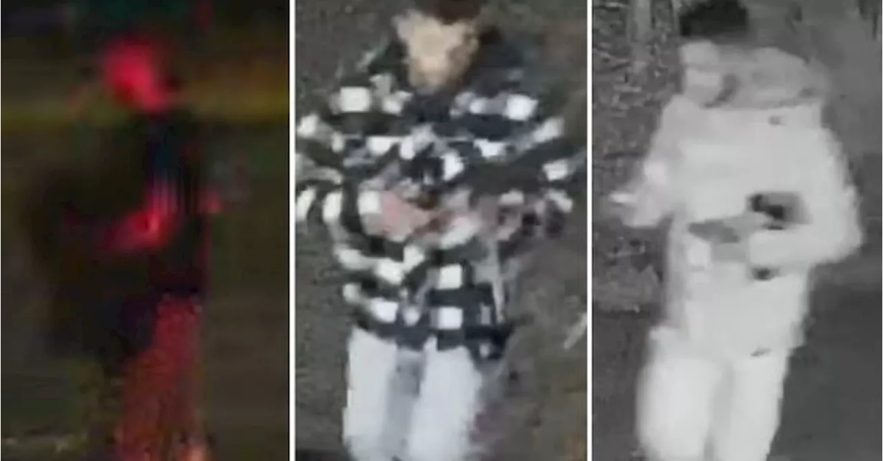 Police release images of three men as manhunt under way following fiery two-car crash