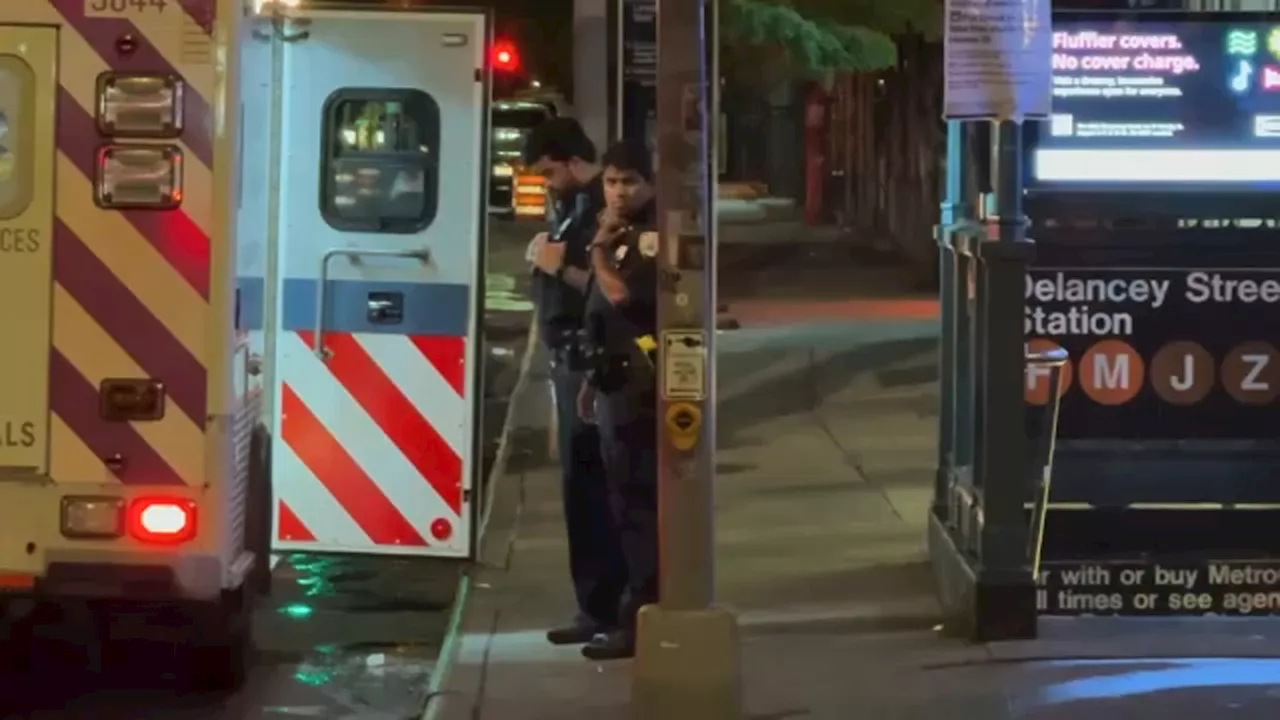 2 women shoved off subway platform at Delancey Street-Essex Street station