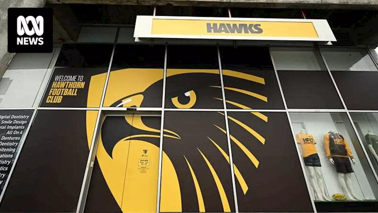 Ex-Hawthorn Football Club players allege they were subjected to 'racist culture' in court claim