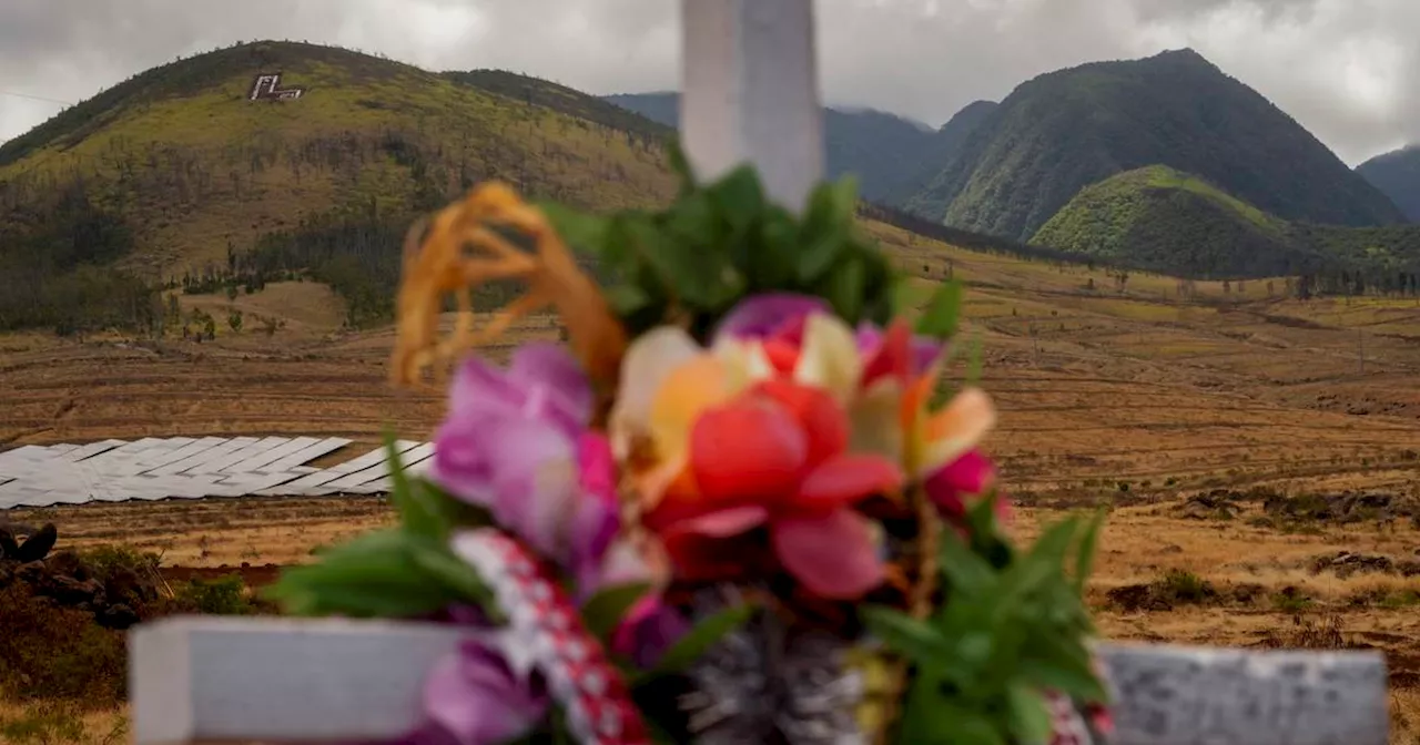 ‘We’re going to survive and it’s going to come back’: A year after Maui wildfire, survivors press on