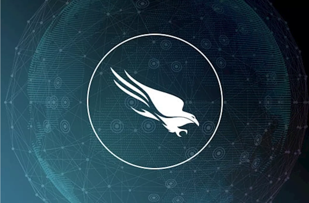 Crowdstrike förnekar ansvar för Deltas inställda flyg