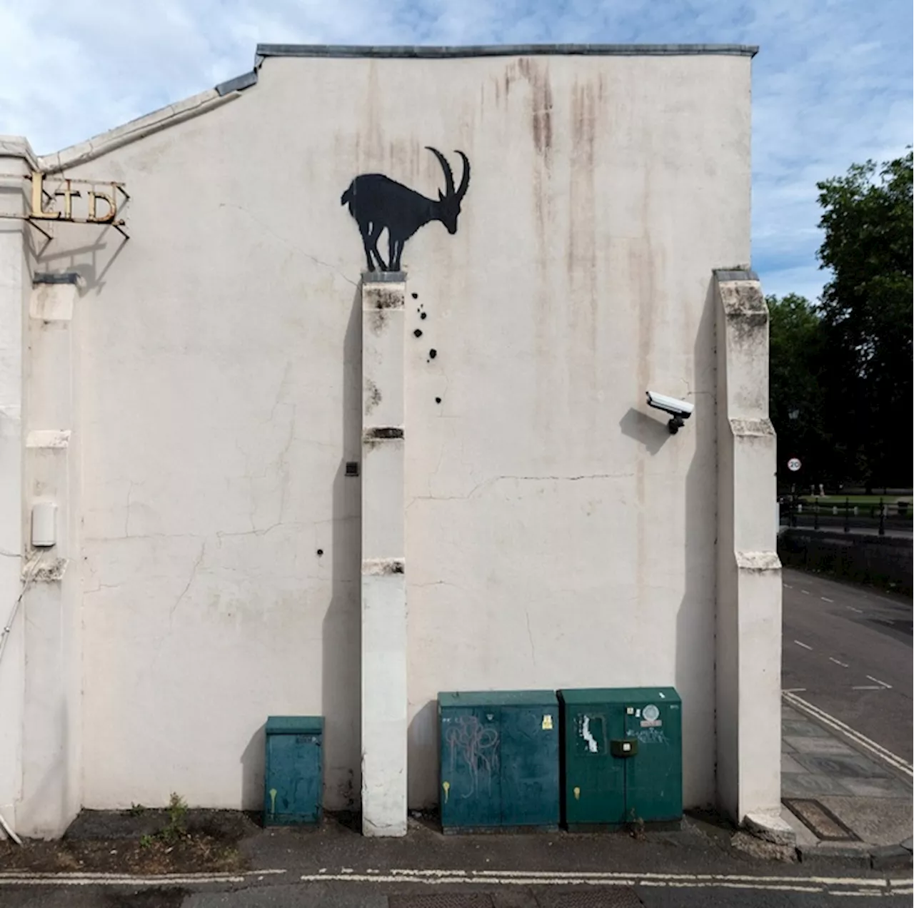 Una capra sul muro di Londra, il nuovo graffio di Banksy