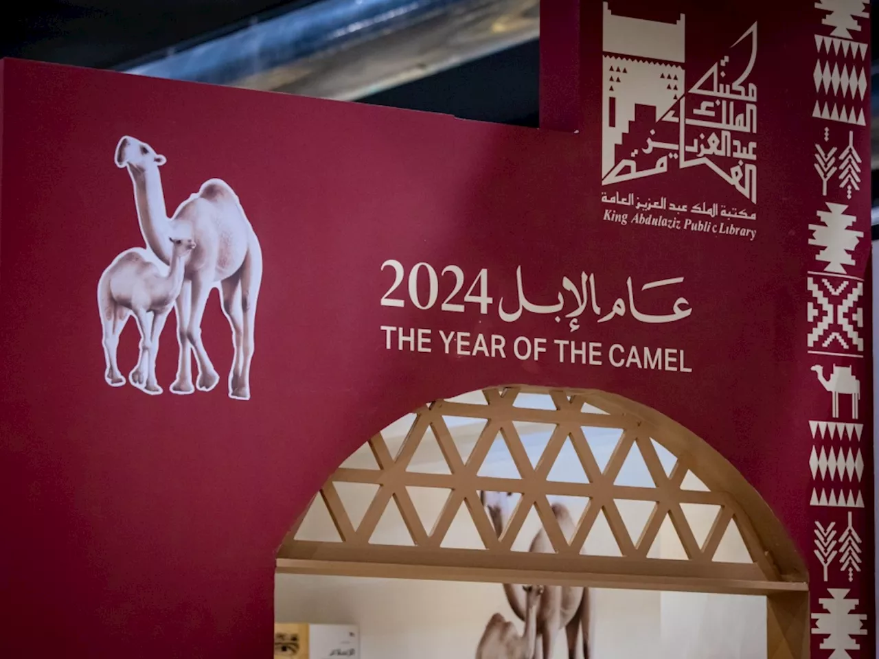 جناح 'عام الإبل 2024' يبهر زوار معرض المدينة المنورة للكتاب