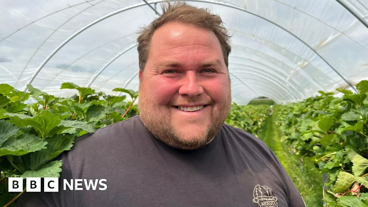 Shropshire farmer calls out customers stealing strawberries