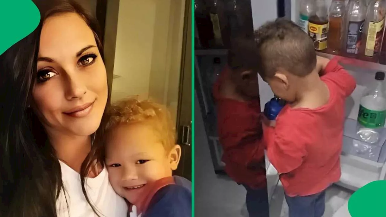 “Future Groovist”: Little Boy Steals Beer From Fridge, Mom Catches Him Just in Time