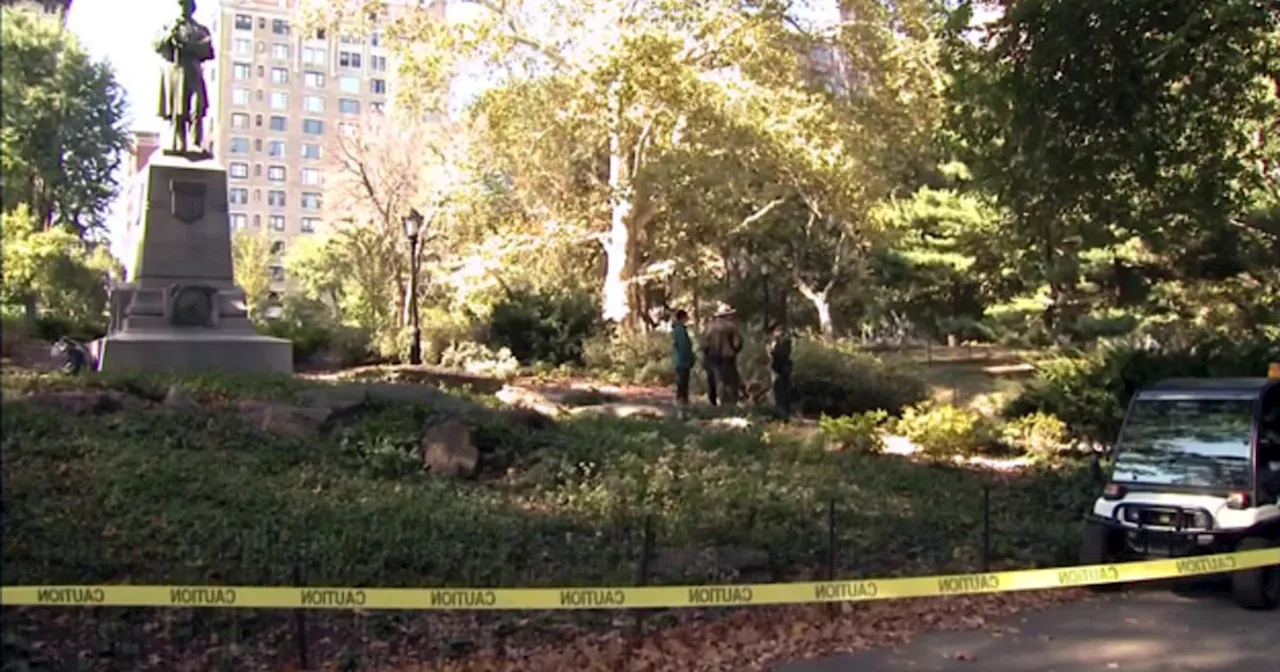 Bear Cub Found Dead In Central Park; NYPD Investigating As Animal Cruelty