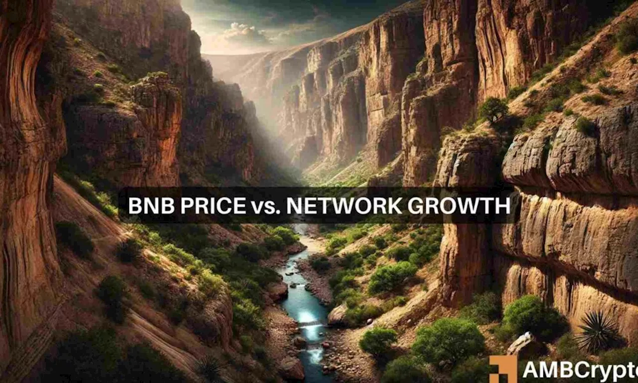 BNB Chain network booms – So why does the altcoin continue to struggle?