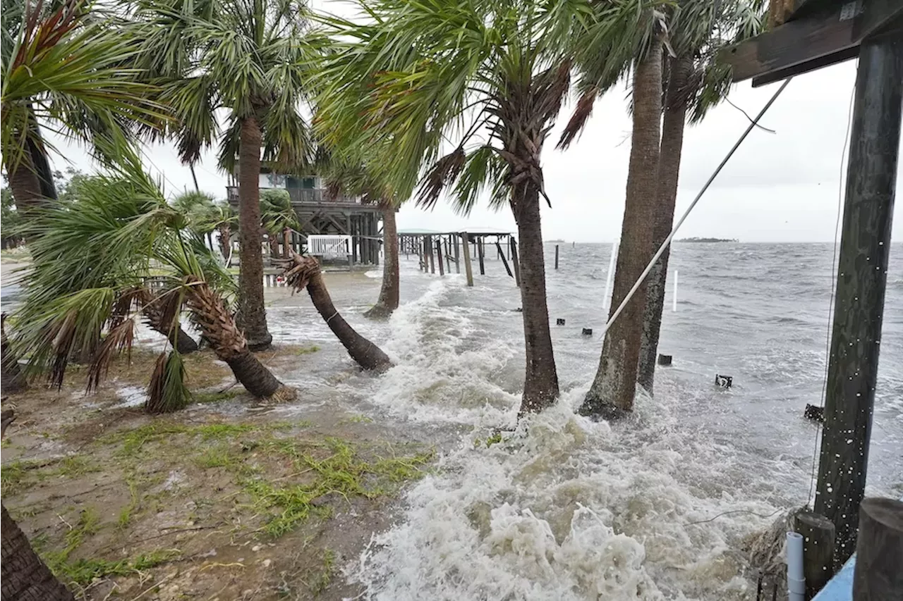 Hurricane Debby blows a million dollars’ worth of cocaine onto Florida beach