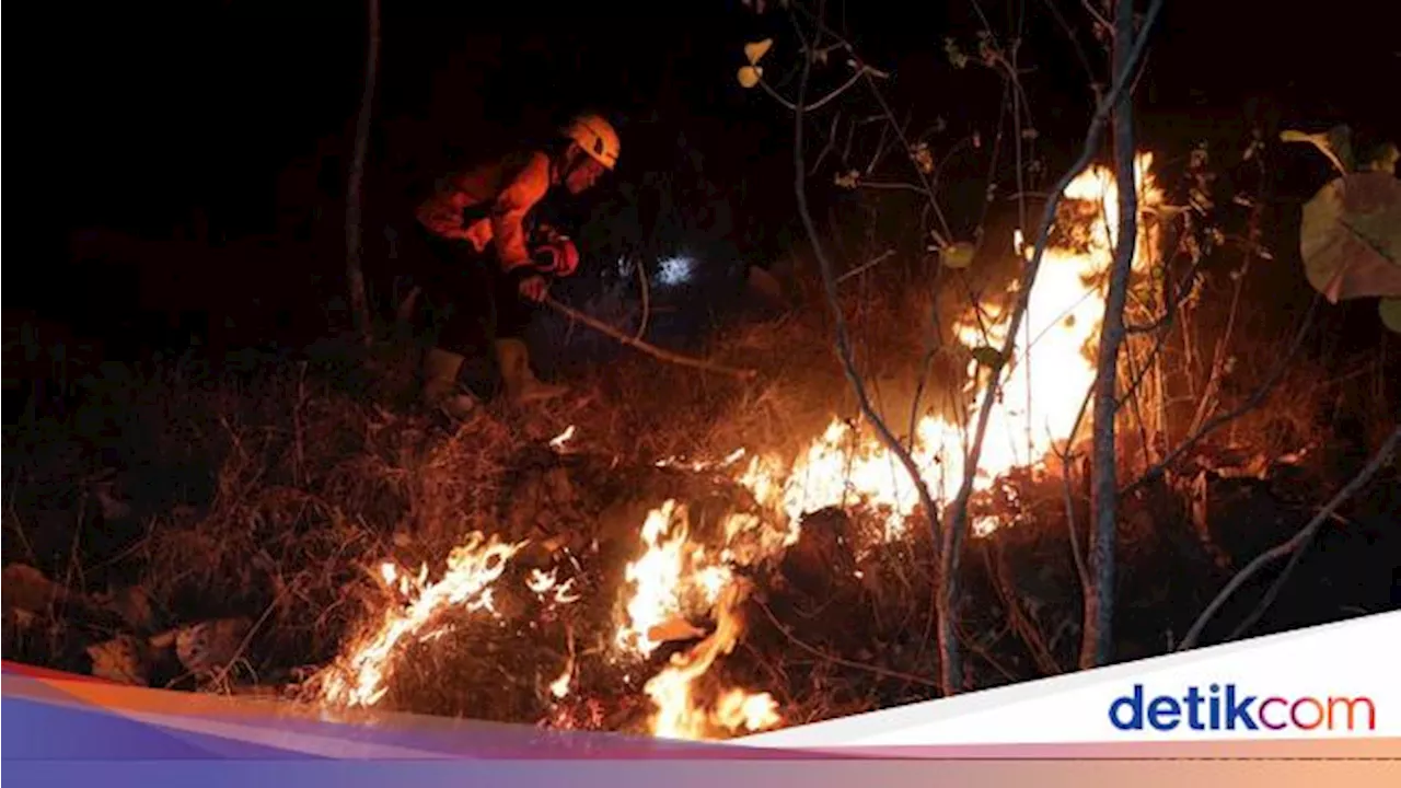 7 Hektare Lahan Hutan Jati di Gunung Gombak Ponorogo Terbakar