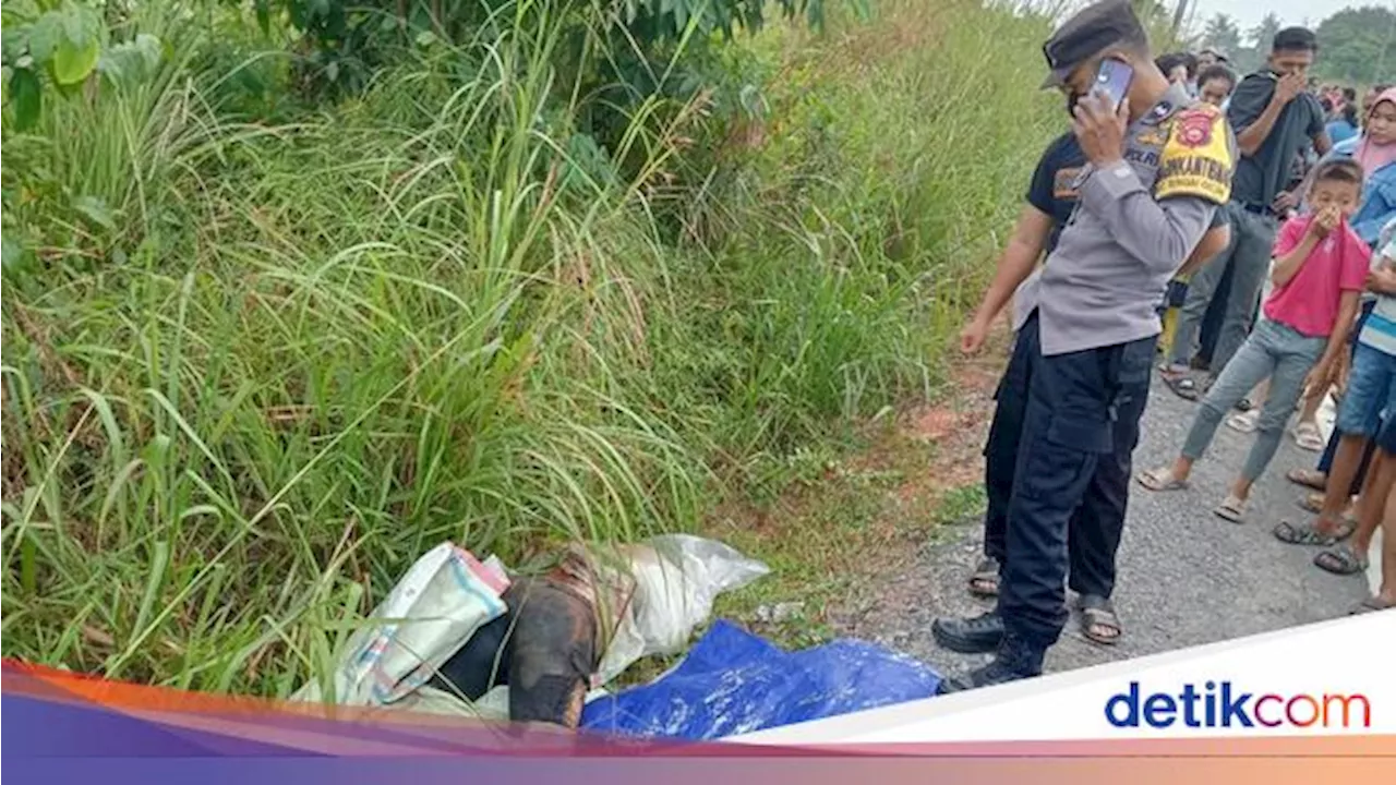 Misteri Sosok Mayat Terbungkus Karung-Luka Tusuk di Muaro Jambi