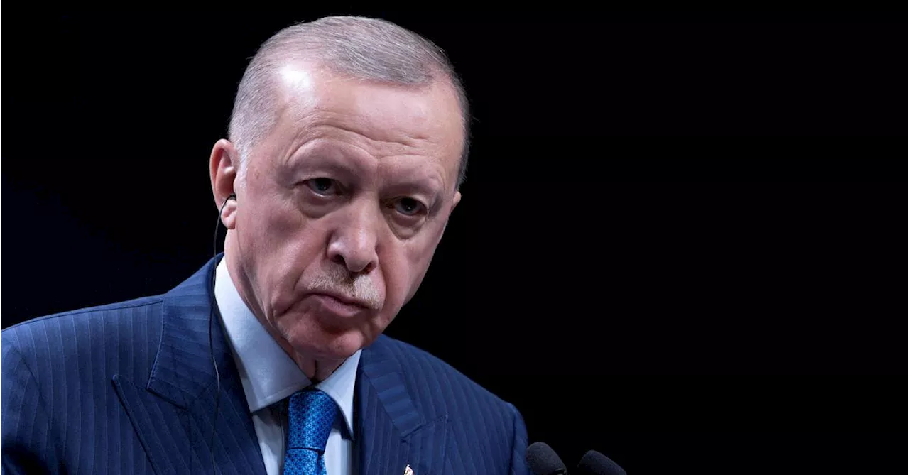 Erdogan nach Instagram-Sperre: „Sind mit digitalem Faschismus konfrontiert