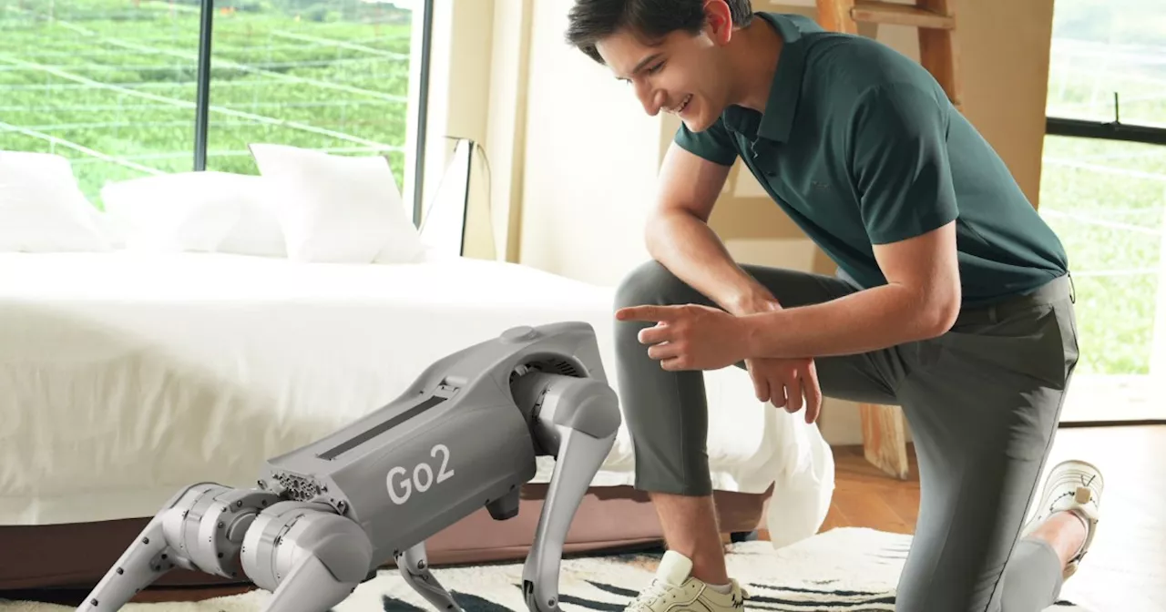 Unitree Go2: Through the power of innovation you, too, can have a robot companion