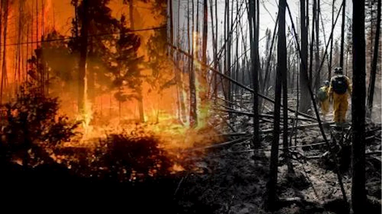 Future of wildfires: What will happen to Canada’s scorched forests as fires worsen?