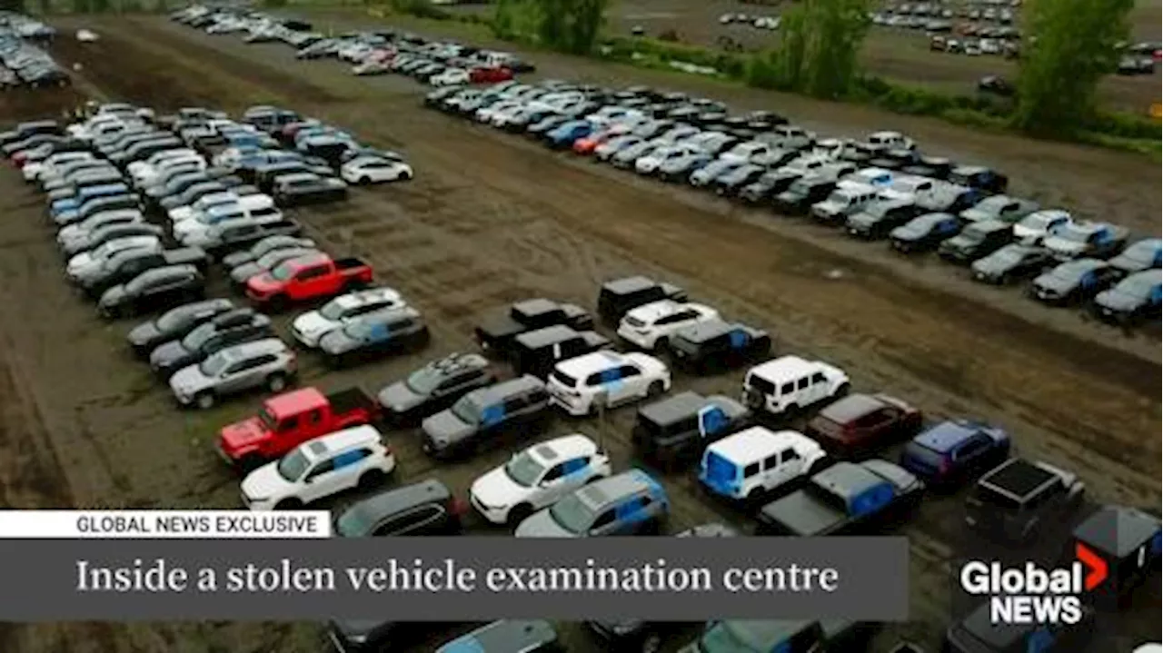 Inside a stolen vehicle examination centre | Watch News Videos Online