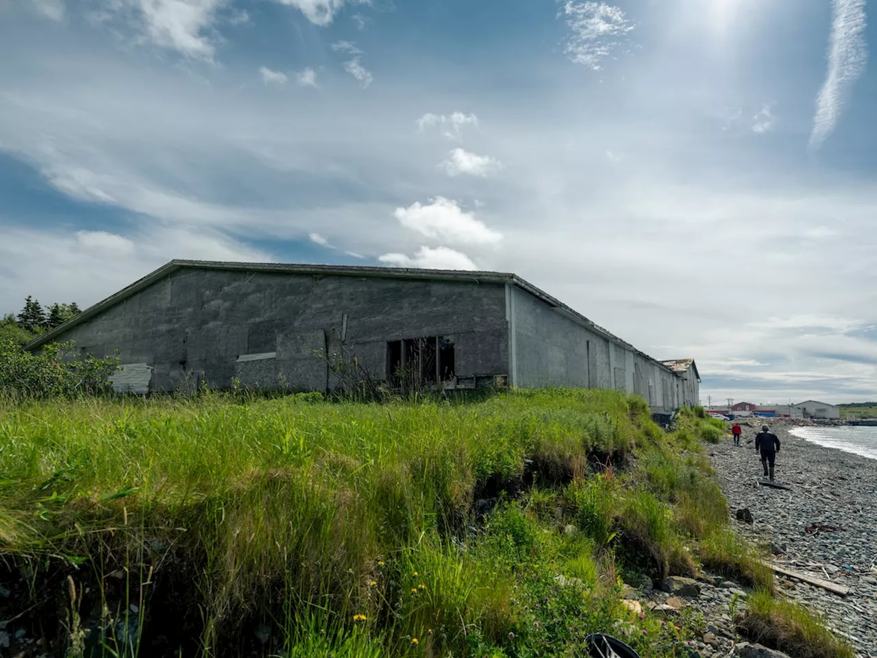 Newfoundland town pleads with Ottawa to pitch in for cleanup costs at old fish-sauce plant