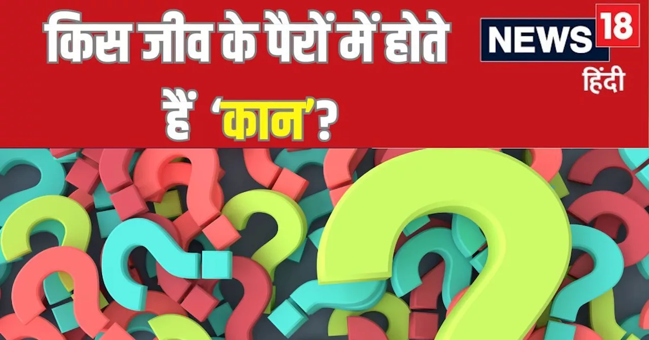 किस जानवर के पैरों में होते हैं कान? रहता है आपके आसपास ही, पर शायद ही बता पाएंगे उसका नाम ...