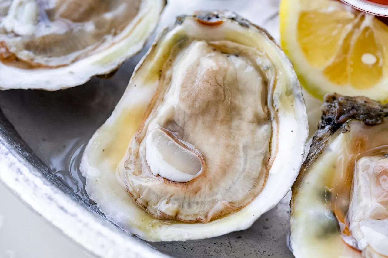 This Week in Houston Food Events: OkraFest Brings Fresh Oysters and More to Galveston