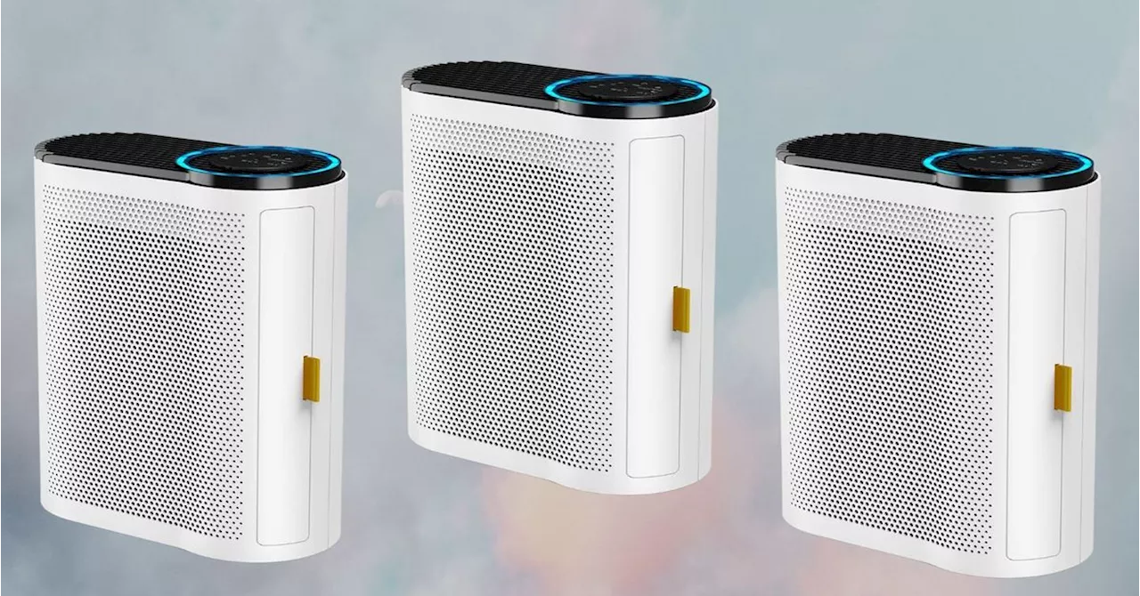 This Bestselling Air Purifier Is Under $100 Right Now To Help You Breathe Easy