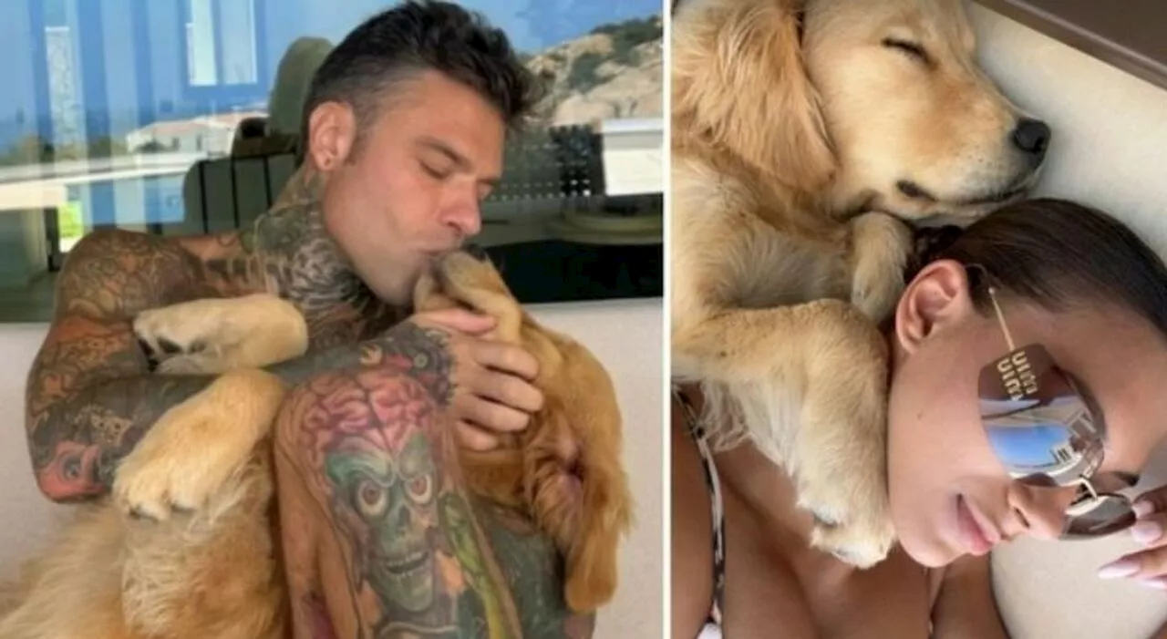 Fedez, come sta dopo l'ultimo malore: è in barca con Giulia Ottorini, la star di Onlyfans (sua vecchia conosce