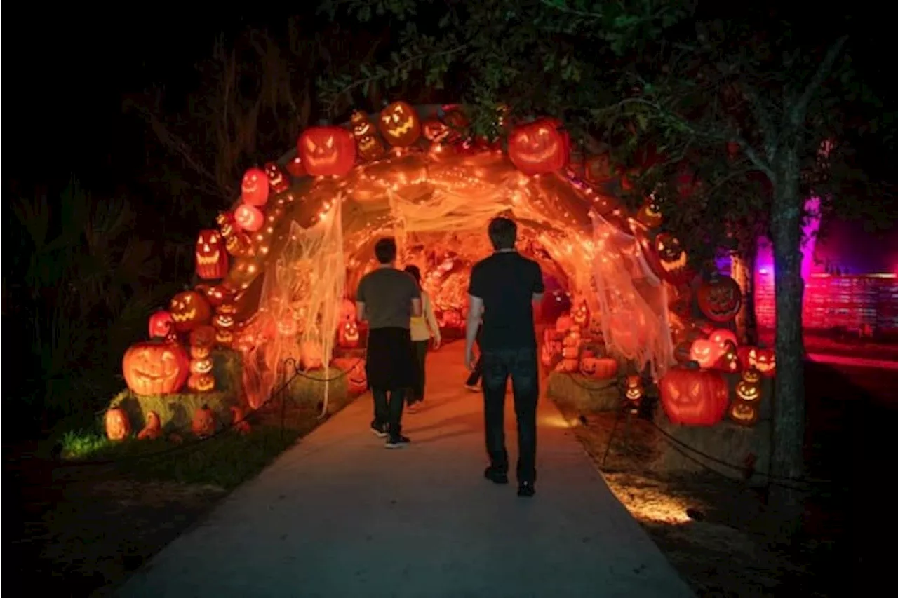 New Halloween-themed attractions coming to San Antonio Botanical Garden