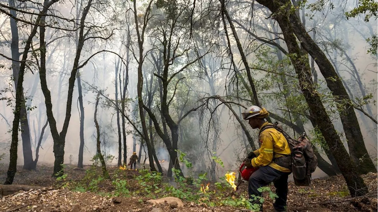 Firefighters prepare for hot, dry conditions as Park Fire containment grows