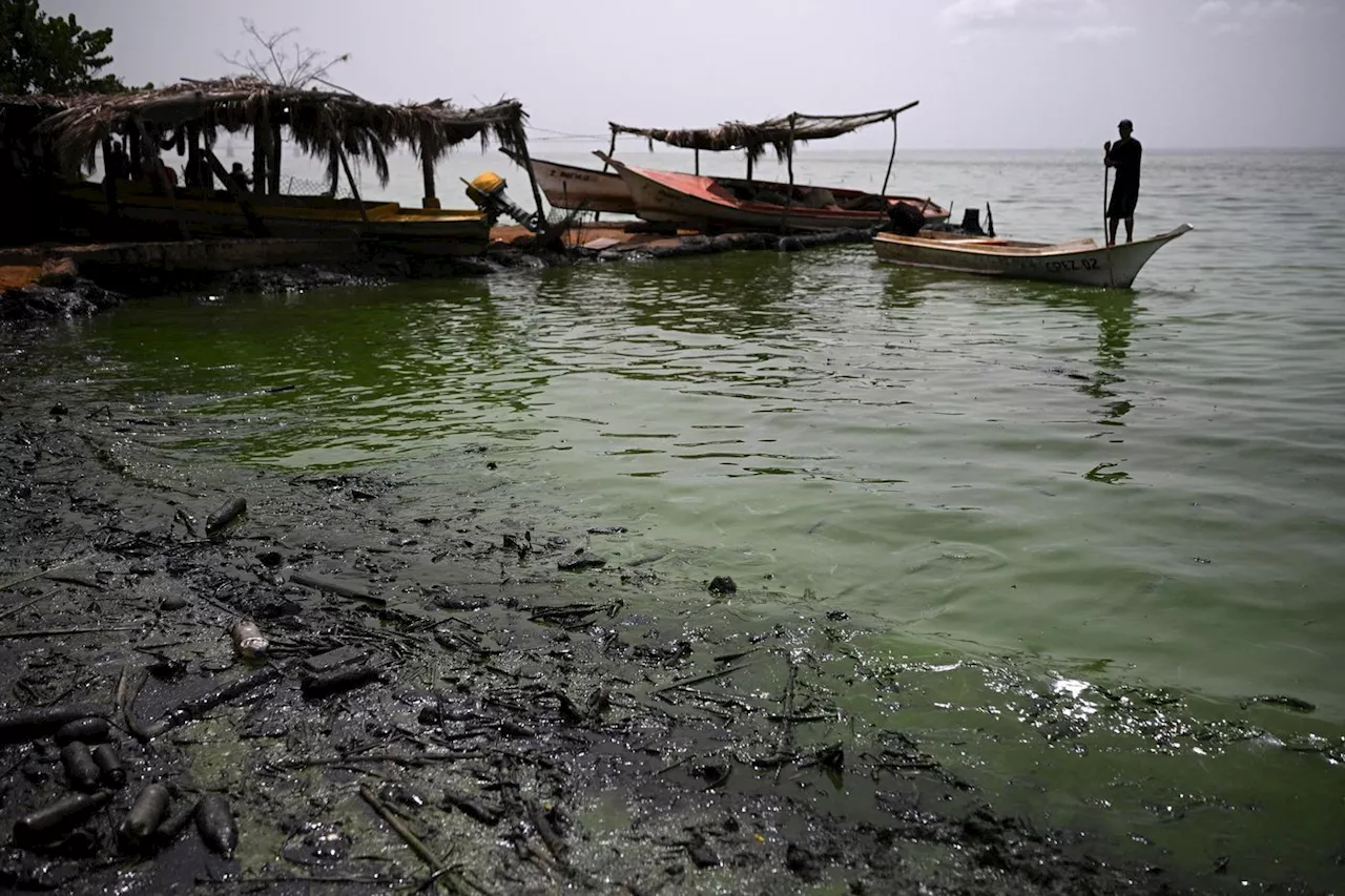 Venezuela : dans le plus grand lac d’Amérique latine, « les crabes sont noirs de pétrole »