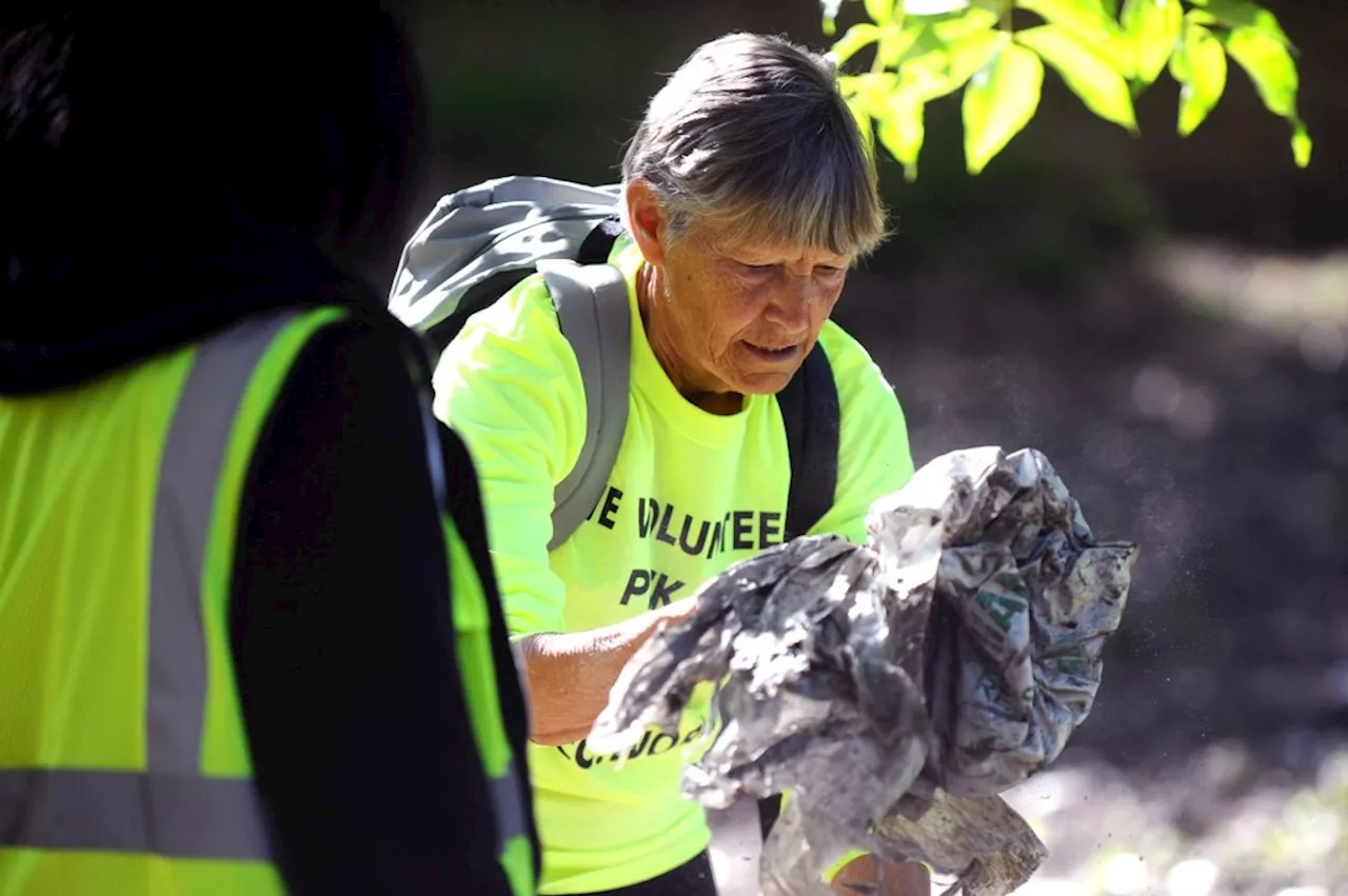 Are those people picking up trash in San Fernando Valley really volunteers?