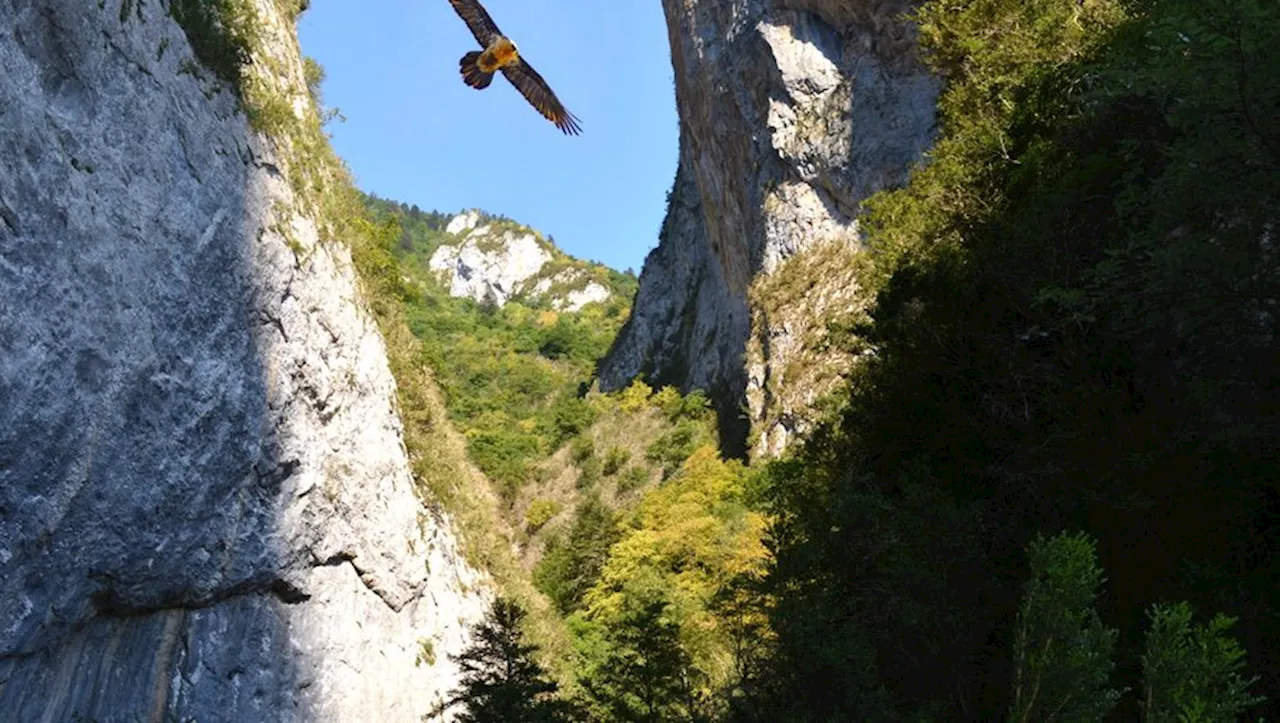 Ce site Natura 2000 vise à protéger les espèces d’oiseaux