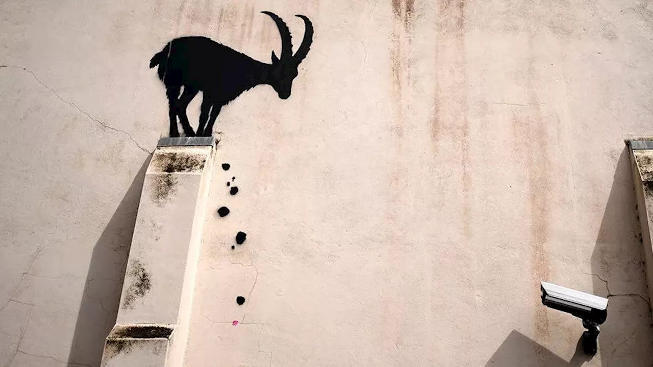 Banksy confirms mystery new artwork in south-West London as fans try to work out its meaning