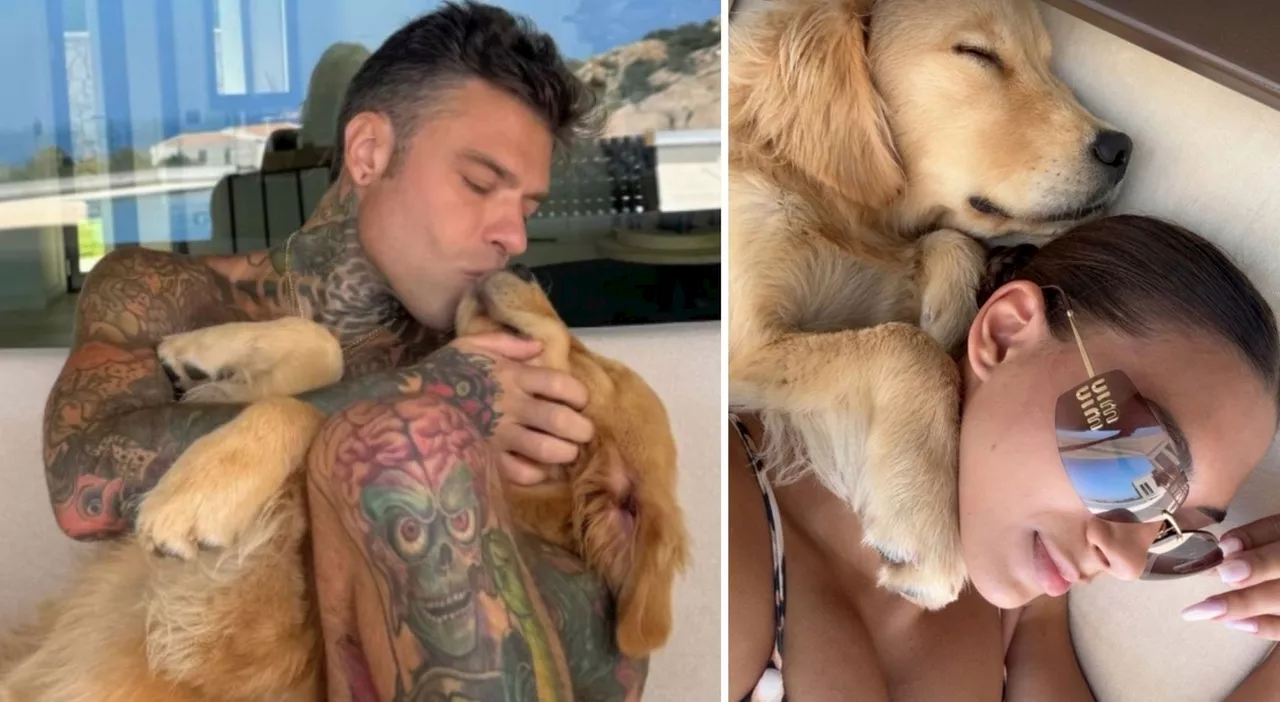 Fedez, la ripresa in dolce compagnia: chi è l’influencer con lui in barca