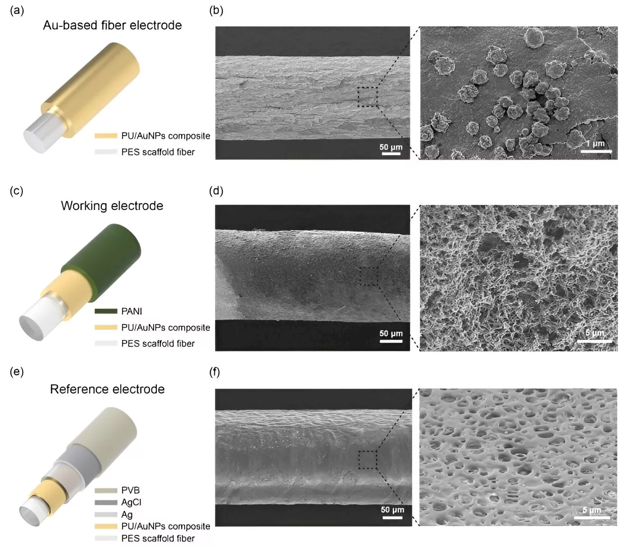 Wound healing checked in real time with electronic suture