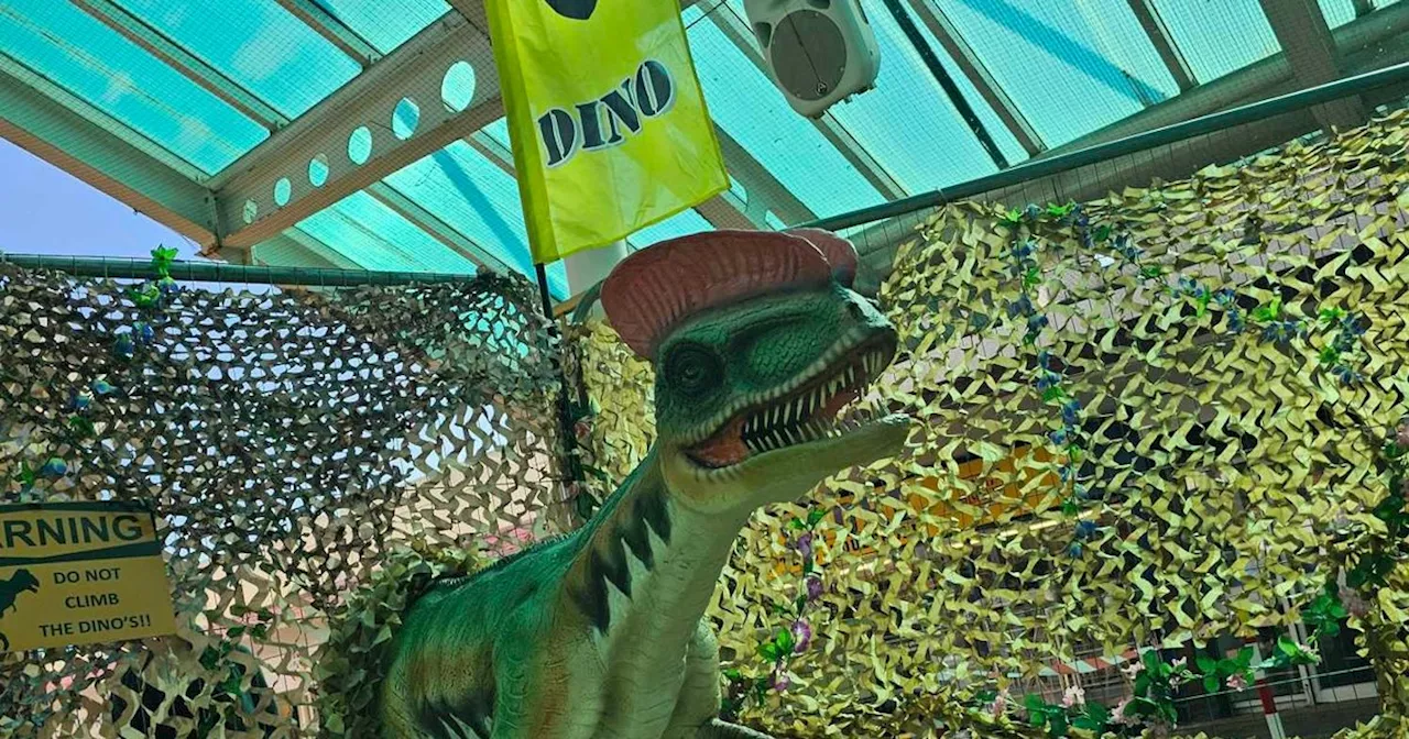 There's a free dinosaur mini golf and trail in Greater Manchester this summer