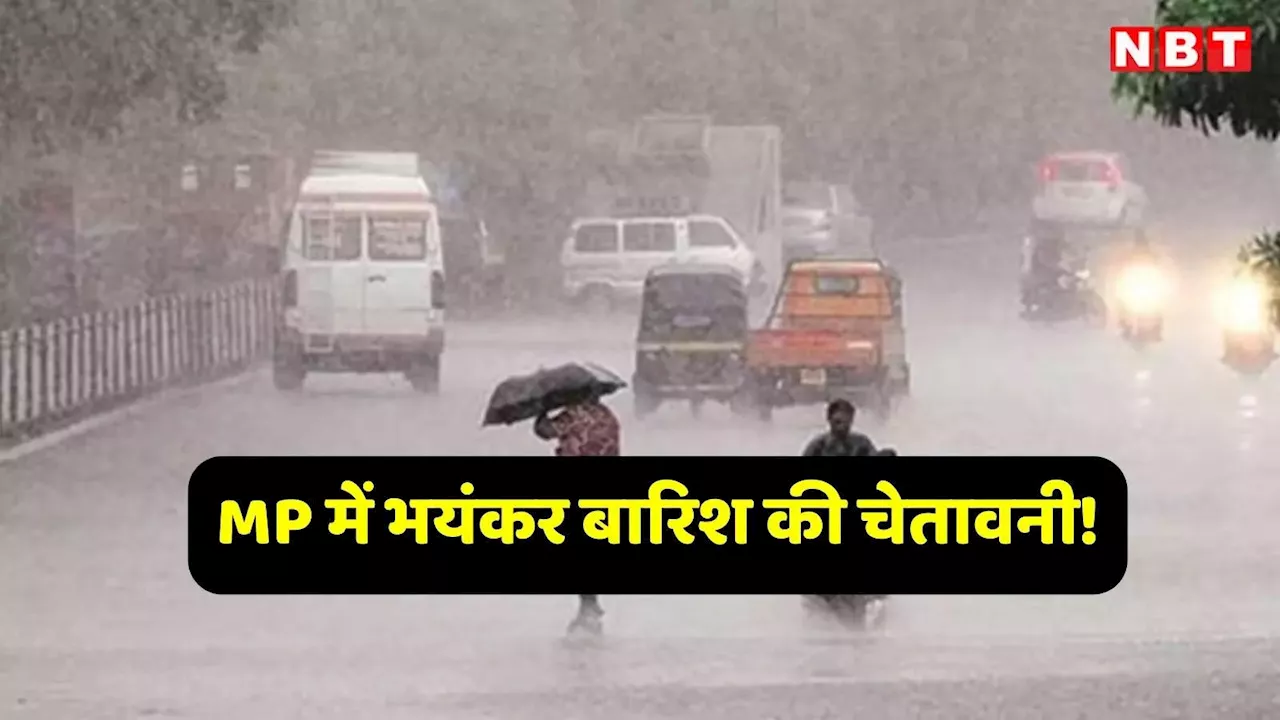 MP Weather Forecast: एमपी में 2 बड़े मौसम तंत्र एक्टिव, अगले 24 घंटे में कई जिलों में होगी मूसलाधार बारिश, IMD का रेड अलर्ट